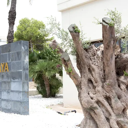 Sabina Playa (adults Only) 4* קאלה מילור